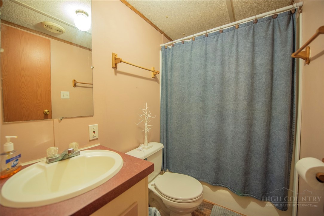 1848 West Mill Creek Road Warrensville, NC 28693 - Photo 42 of 50 a bathroom with a sink a toilet a mirror and shower curtain