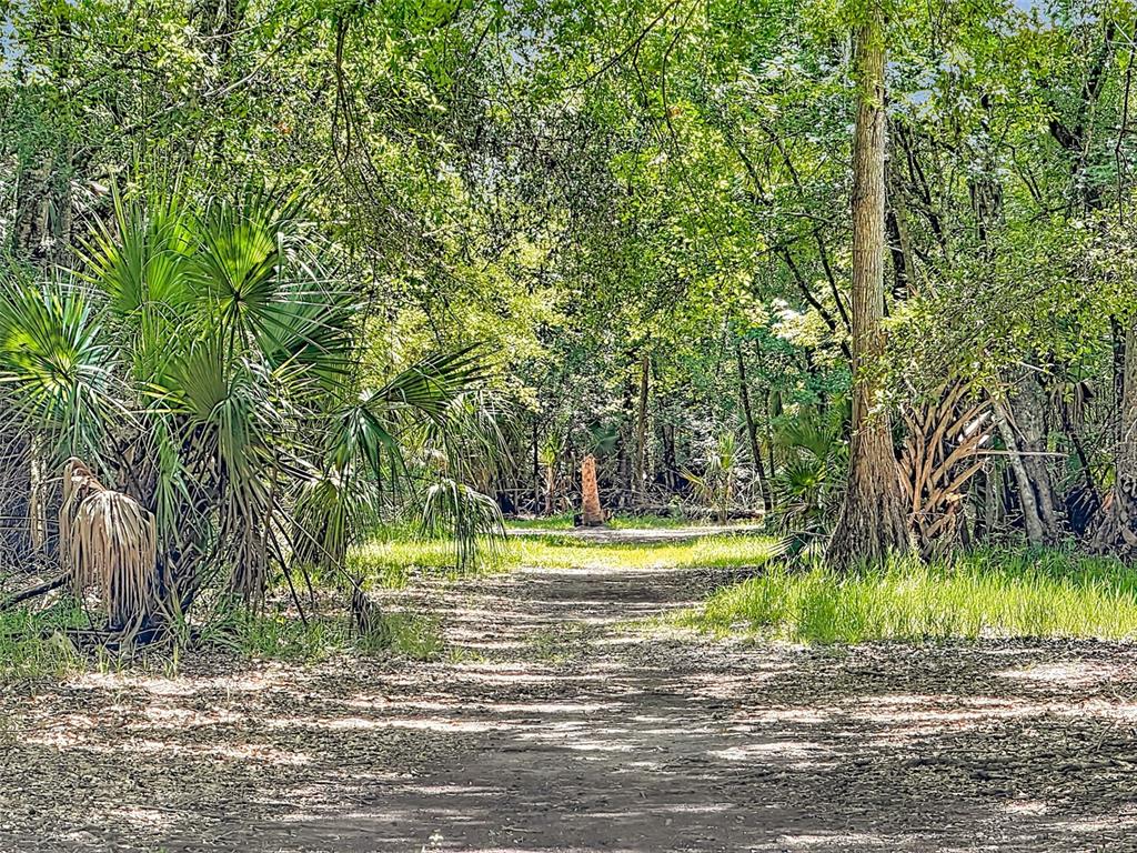 273 Griffin Road Wauchula, FL 33873 - Photo 43 of 48