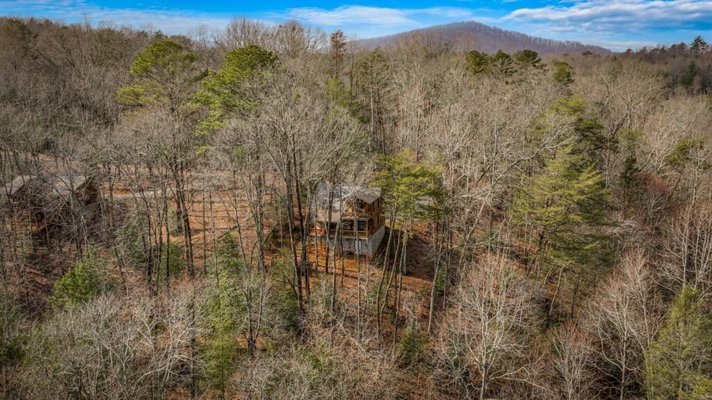 275 North Moreland Drive Blue Ridge, GA 30513 - Photo 25 of 70
