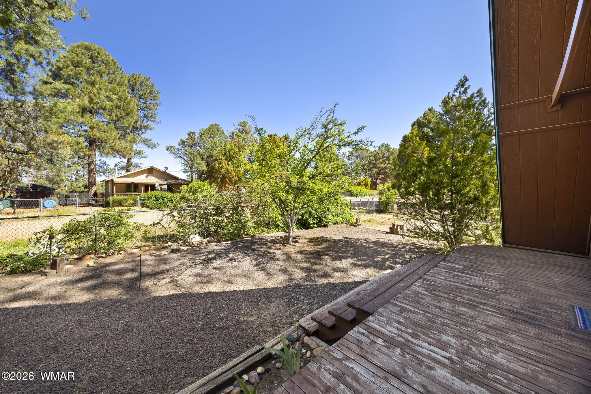 3355 Rim Lakes Drive Overgaard, AZ 85933 - Photo 4 of 37 a view of a yard with plants and trees