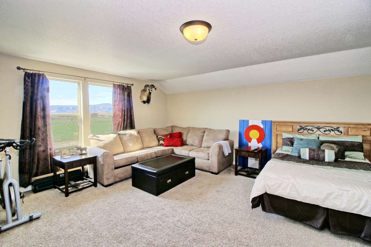 2045 Roma Avenue Fruita, CO 81521 - Photo 17 of 29 a bedroom with furniture and a flat screen tv