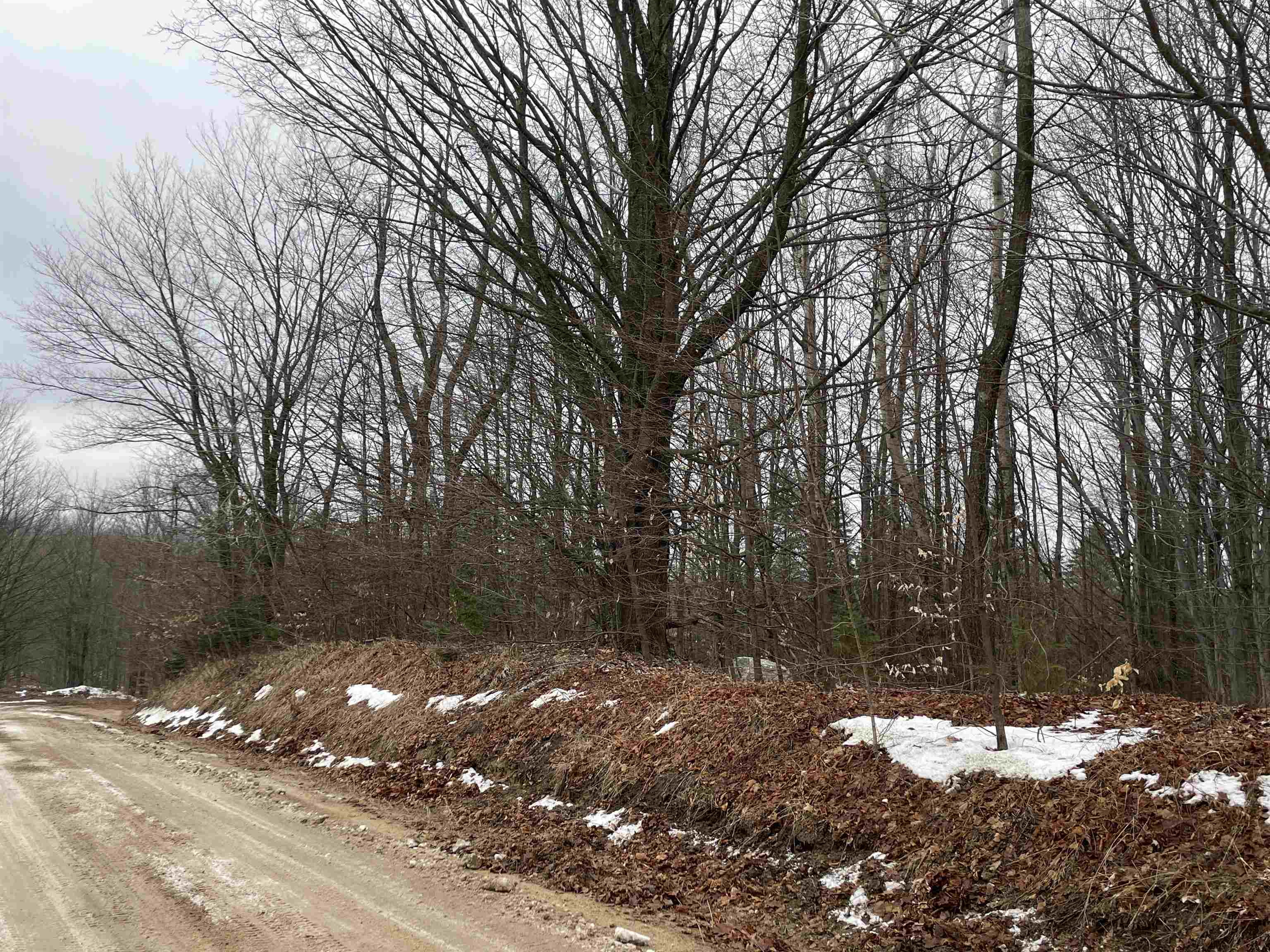 0 22nd Road Tustin, MI 49688 - Photo 3 of 13
