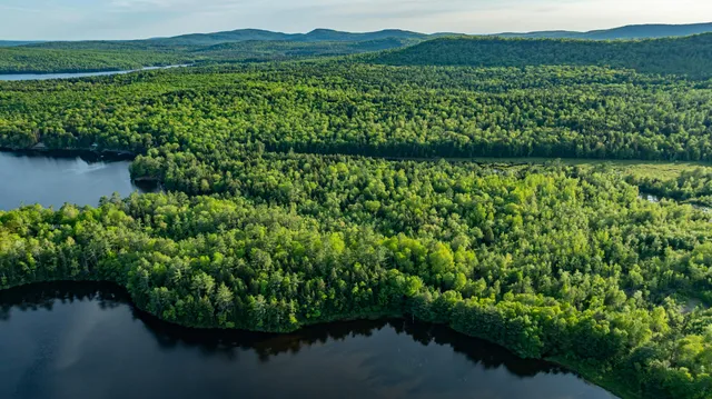 $395,000 | M2-l1 Springy Pond Road, Clifton, ME 04428