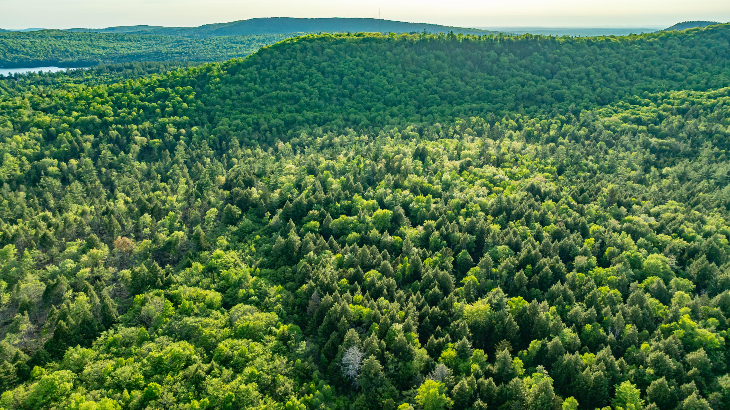 M2-l1 Springy Pond Road Clifton, ME 04428 - Photo 19 of 25 DJI_0590