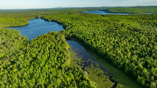 $395,000 | M2-l1 Springy Pond Road, Clifton, ME 04428