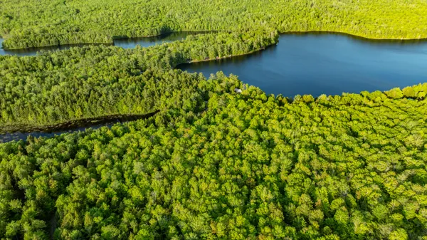 $395,000 | M2-l1 Springy Pond Road, Clifton, ME 04428