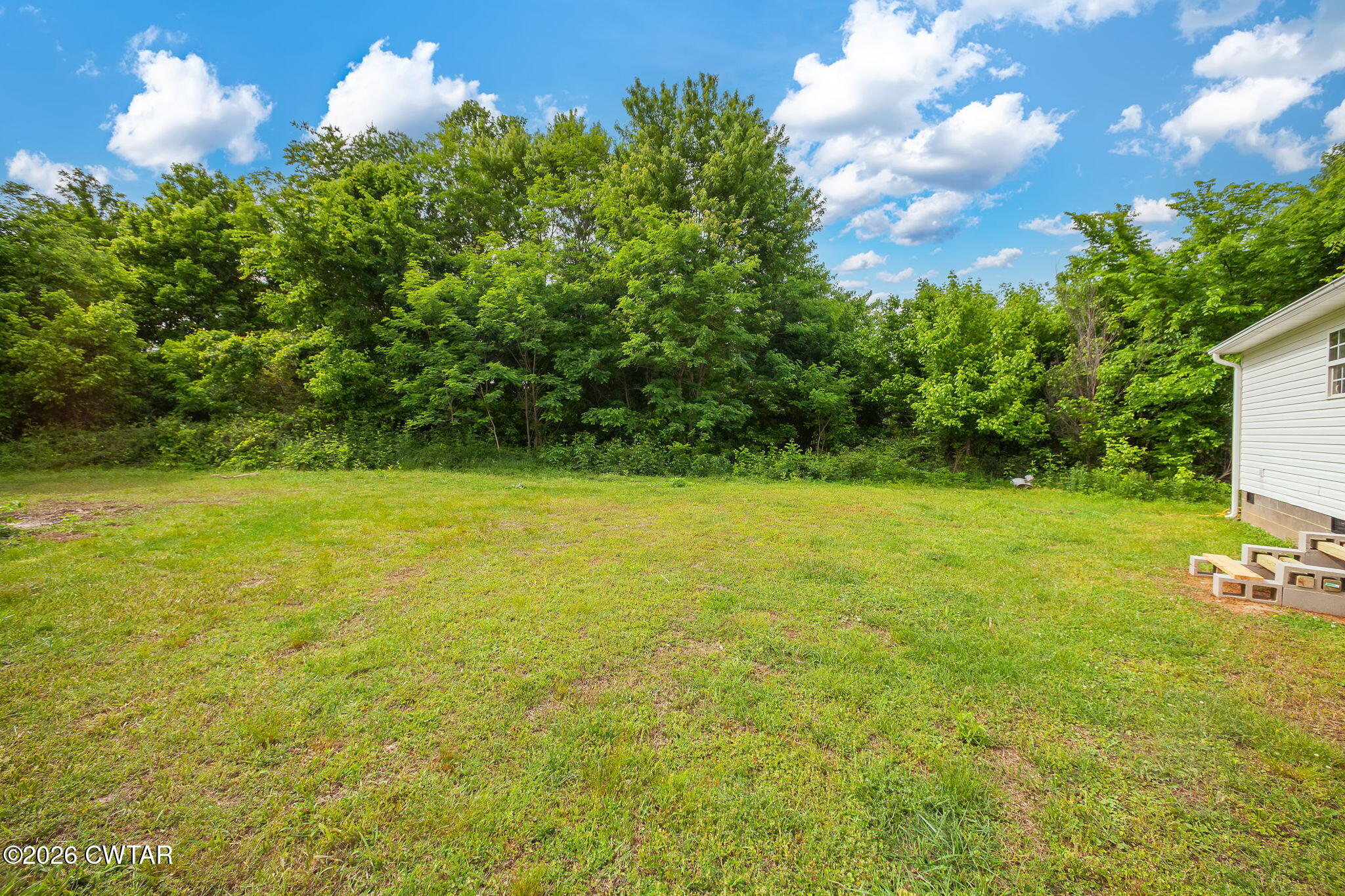 820 Vine Hill Road Denmark, TN 38391 - Photo 19 of 25 Backyard
