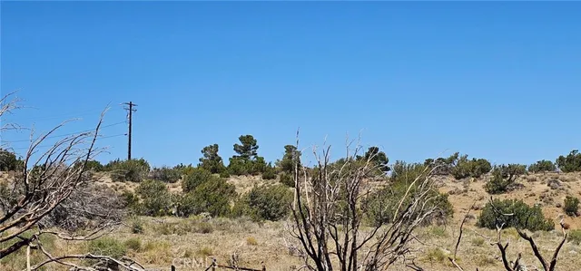 $352,500 | 0 98th Street East, Juniper Hills, CA 93543