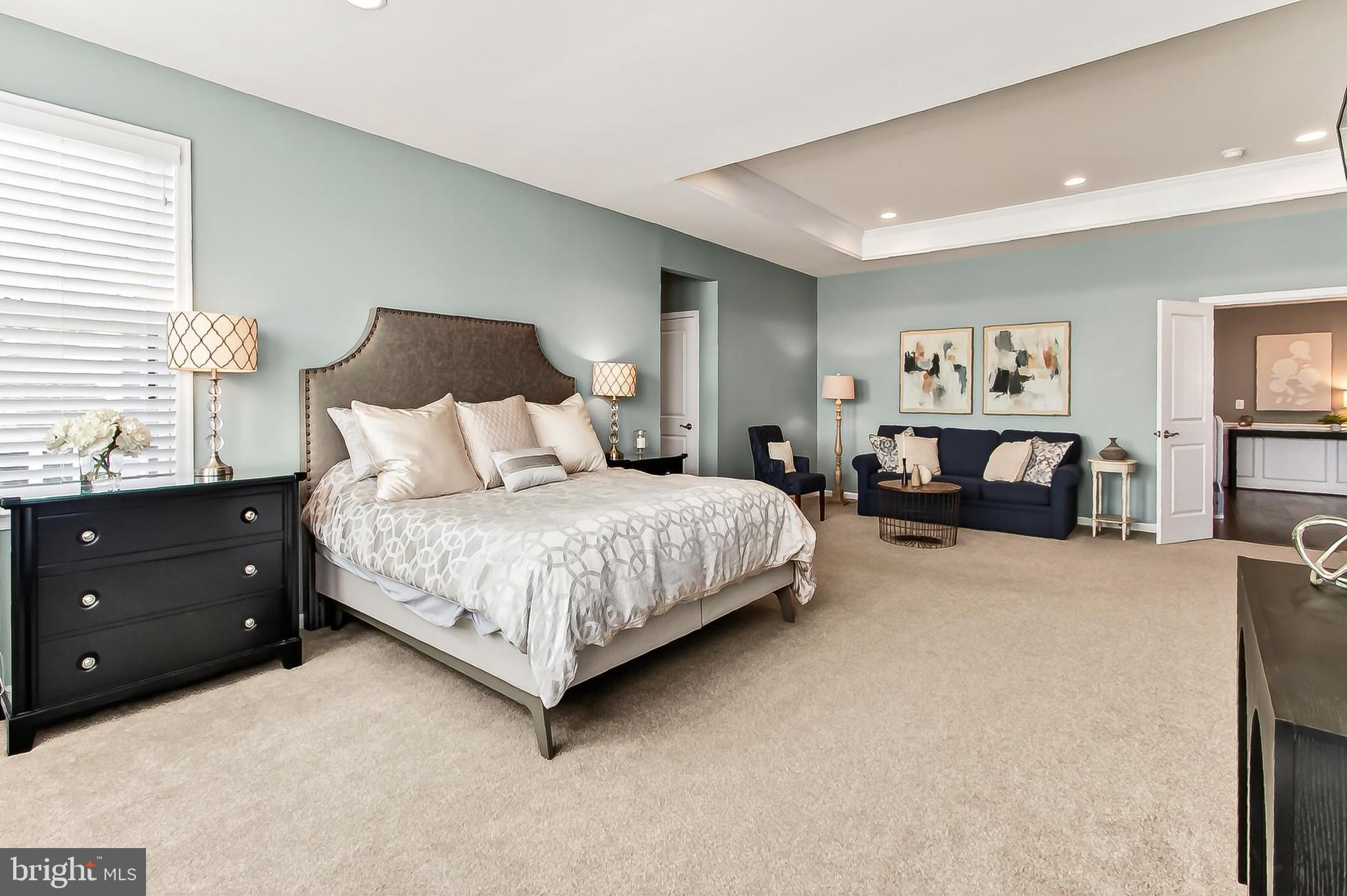 1103 Themis Street Southeast Leesburg, VA 20175 - Photo 50 of 108 Spacious primary BR retreat w/plush neut carpeting