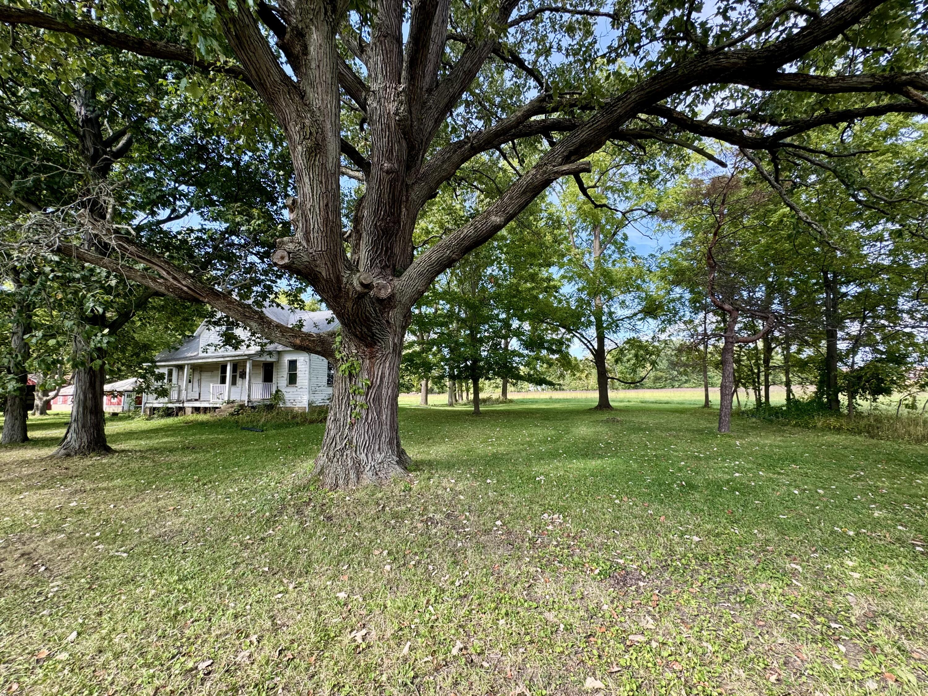 1038 Meridian Road Chesterton, IN 46304 - Photo 18 of 25 a view of a trees in a yard
