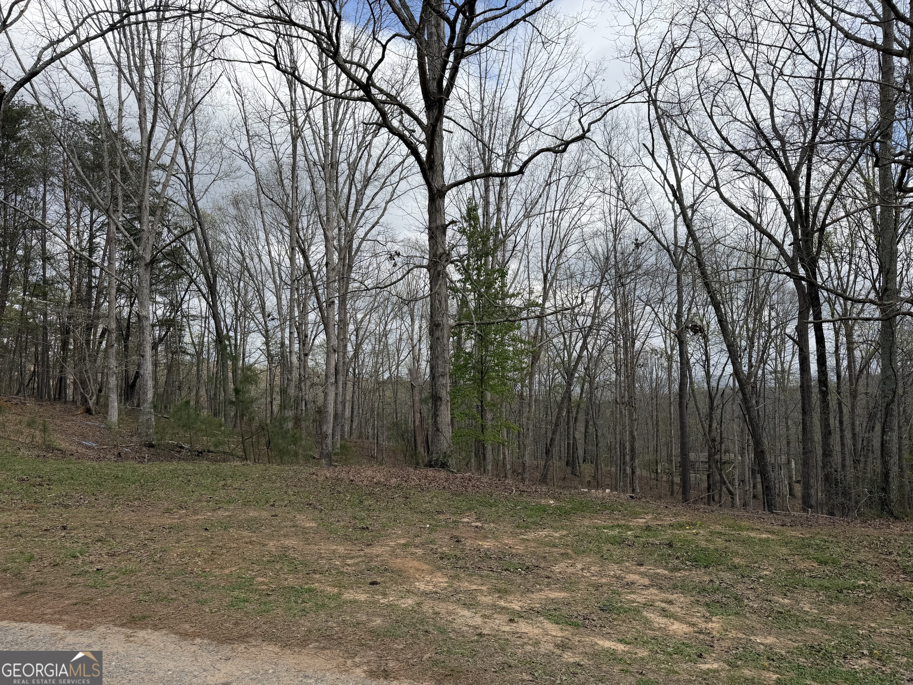 3467 Carver Mill Road Talking Rock, GA 30175 - Photo 2 of 11