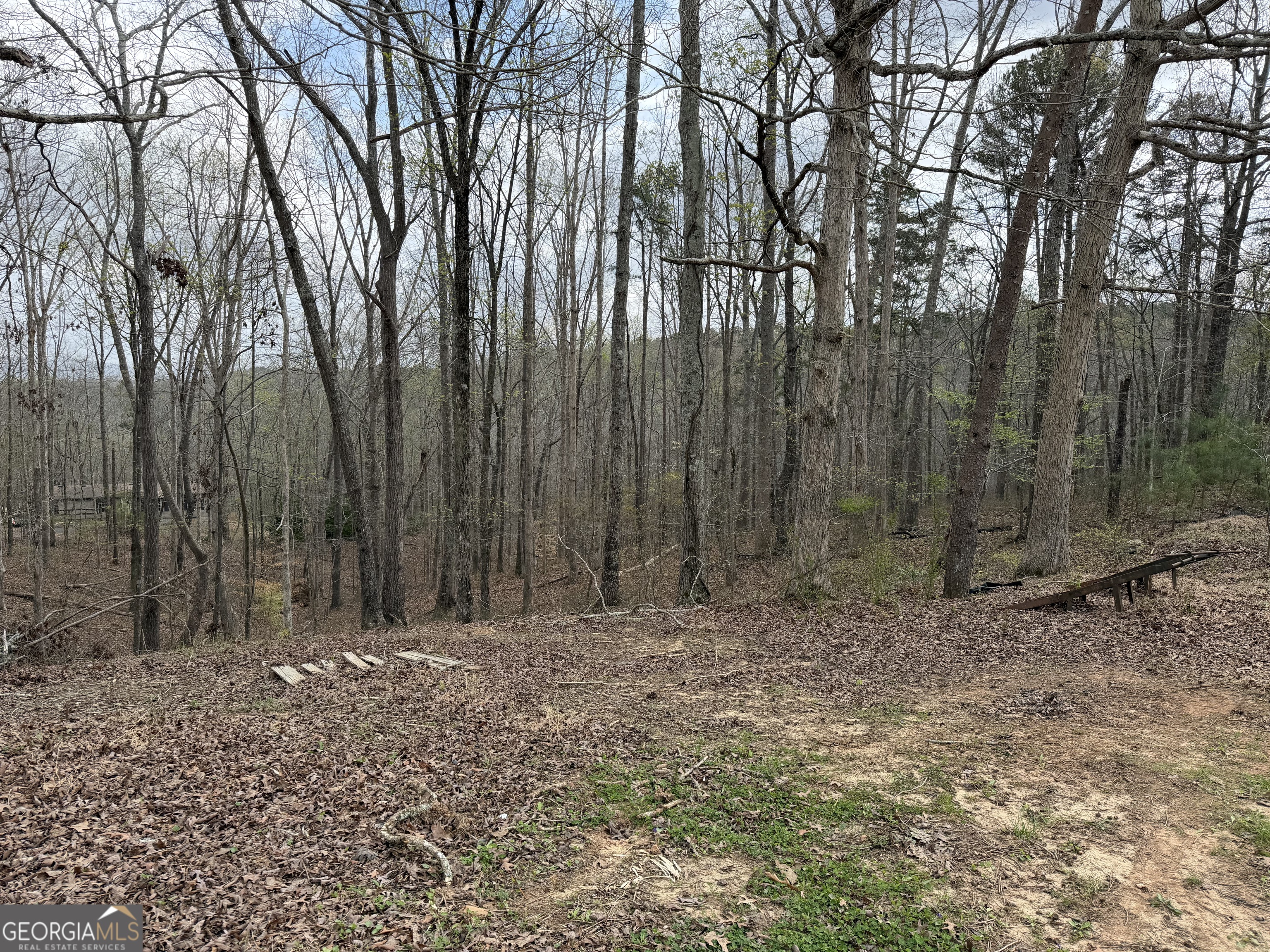 3467 Carver Mill Road Talking Rock, GA 30175 - Photo 4 of 11