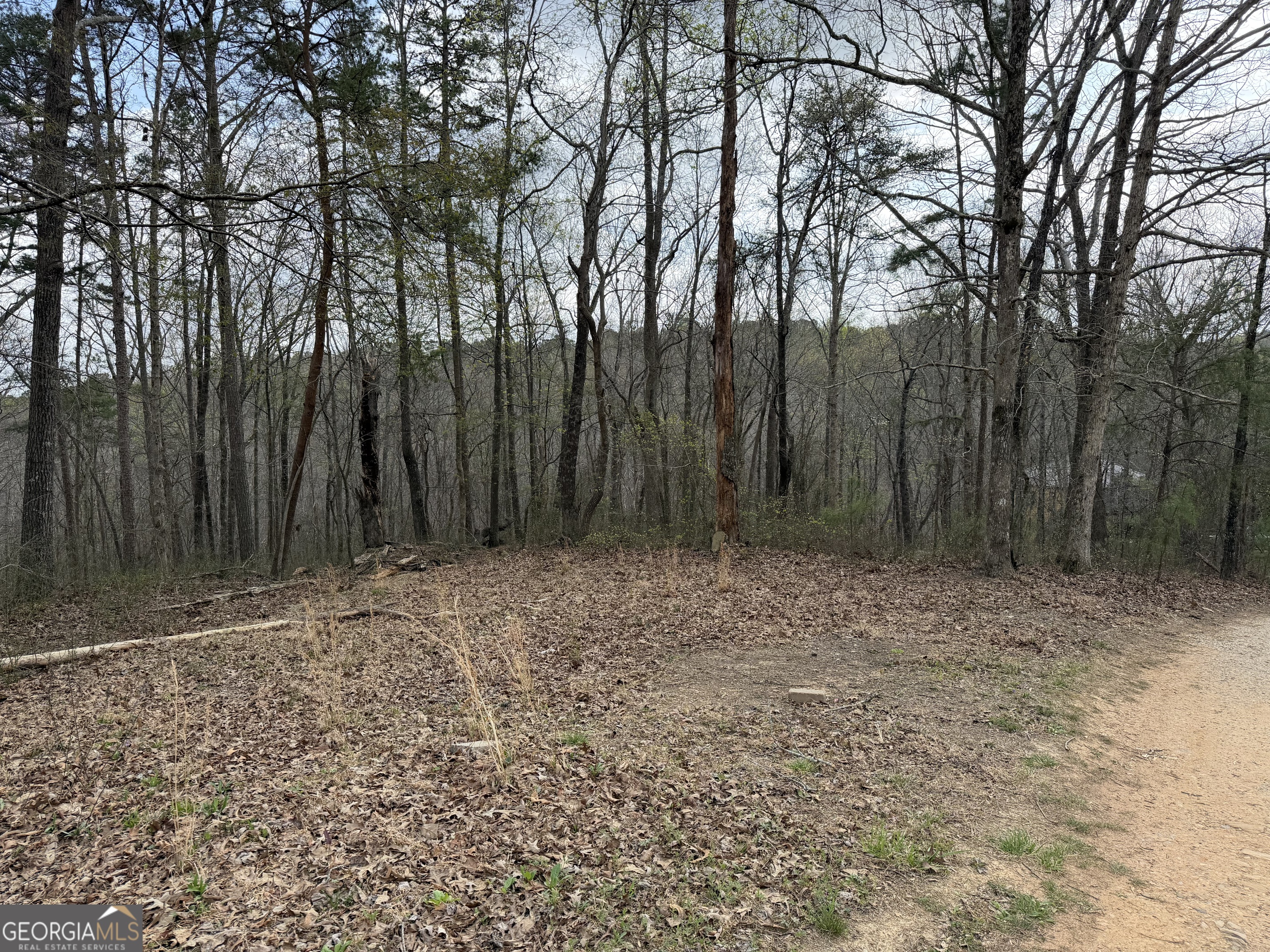 3467 Carver Mill Road Talking Rock, GA 30175 - Photo 8 of 11