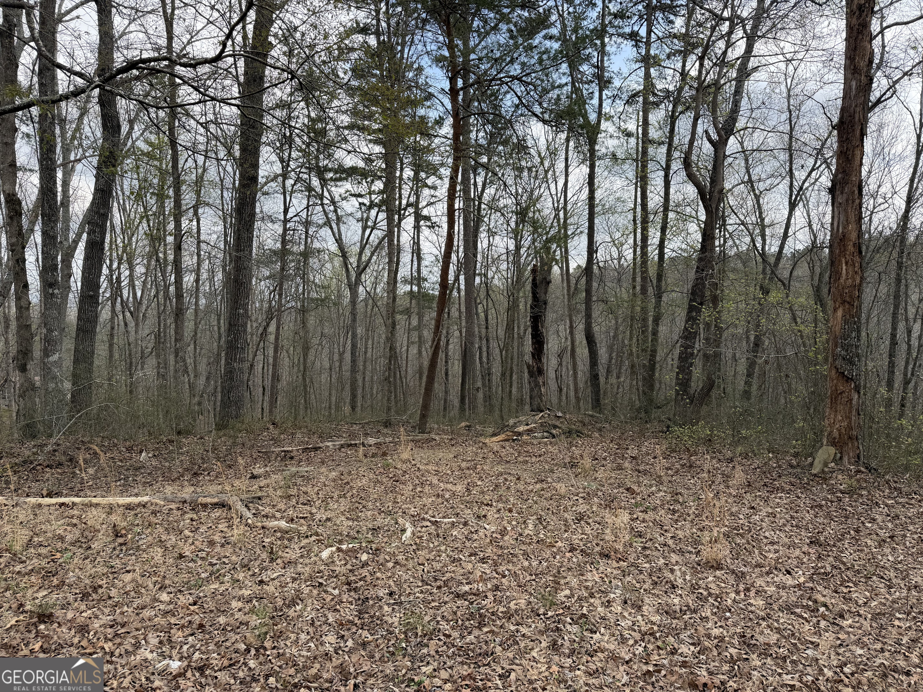 3467 Carver Mill Road Talking Rock, GA 30175 - Photo 9 of 11