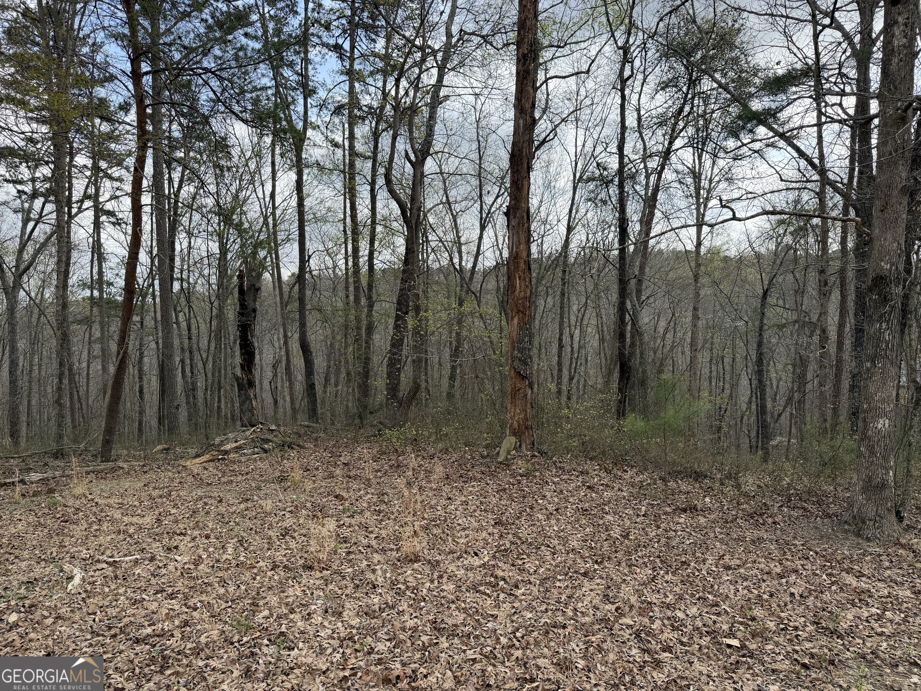 3467 Carver Mill Road Talking Rock, GA 30175 - Photo 10 of 11