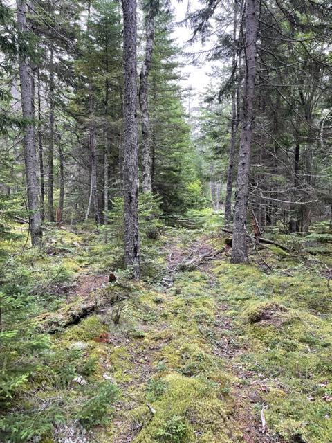 140 Pequot Road Vinalhaven, ME 04863 - Photo 1 of 11 Old Road