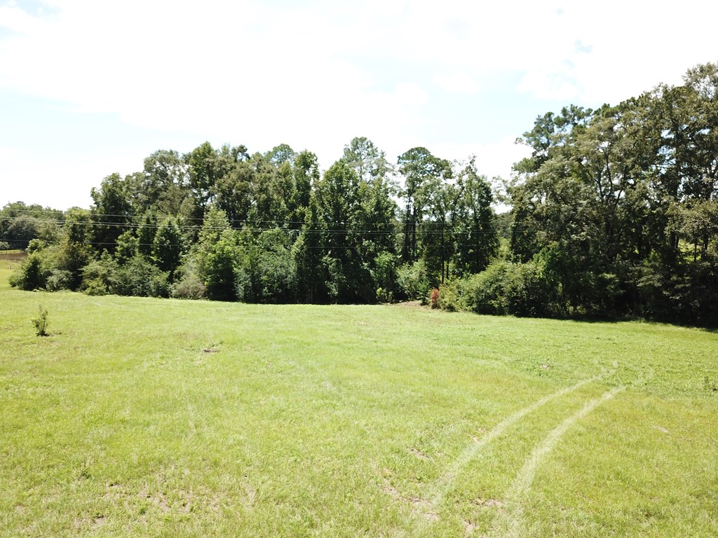 33 Rehobeth Al Dothan, AL 36303 - Photo 8 of 46