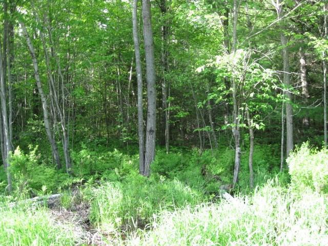 Lot 40-1 Lot Road Plymouth, ME 04969 - Photo 2 of 4 Photo