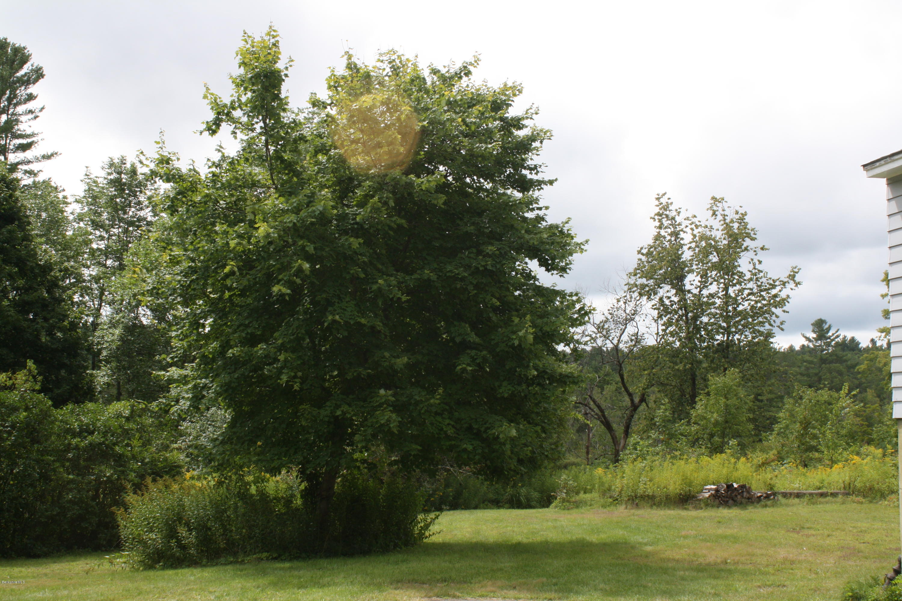 340 Main Road Monterey, MA 01245 - Photo 3 of 13 a view of a park with large trees
