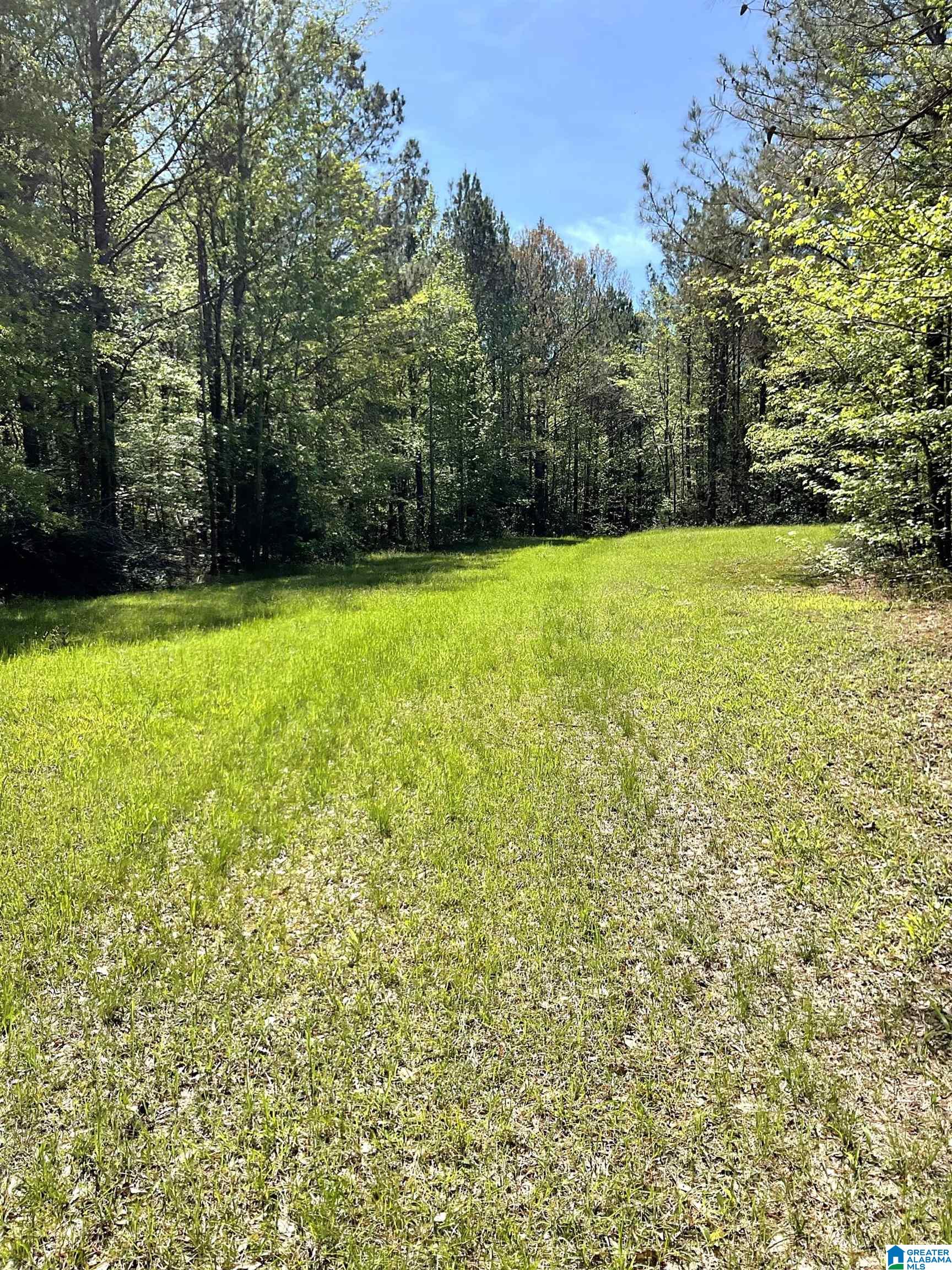 3653 Tabernacle Road Ethelsville, AL 35461 - Photo 5 of 9