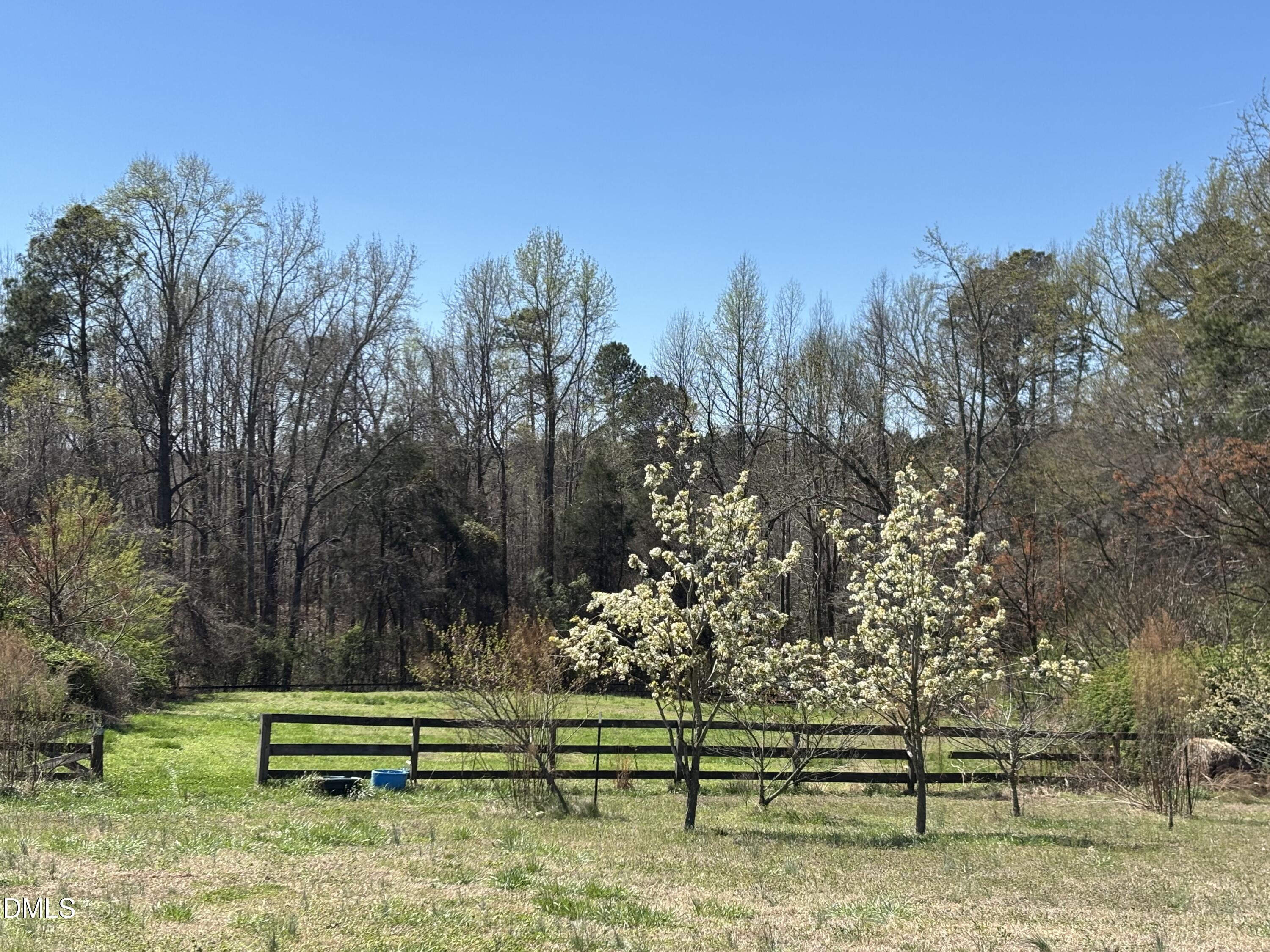 344 J B Leonard Road Castalia, NC 27816 - Photo 7 of 32 a view of park bench