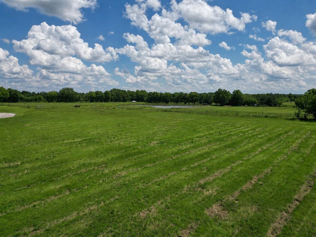 9999 Dugan Chapel Road Bells, TX 75414 - Photo 23 of 23