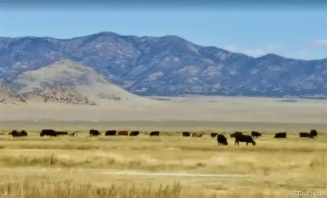 $1,695,000 | 51781 County Road X, Saguache, CO 81149