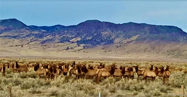 $1,695,000 | 51781 County Road X, Saguache, CO 81149