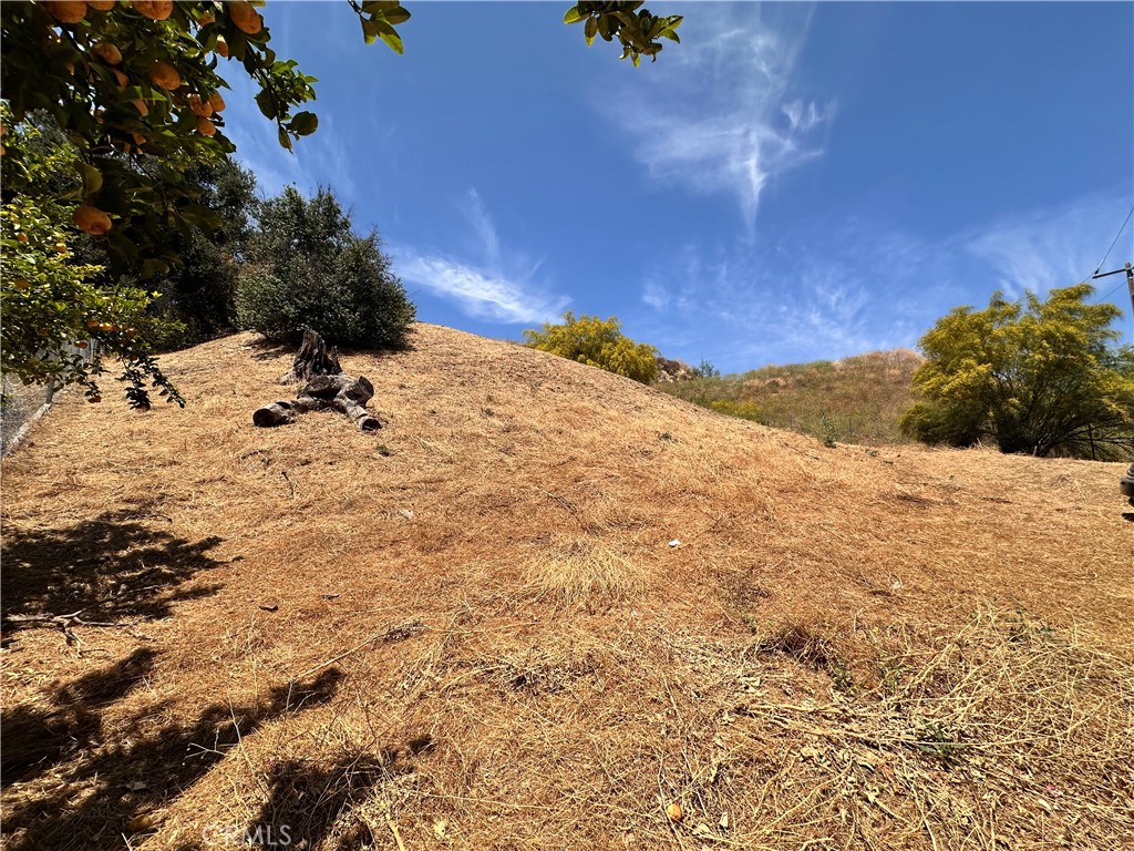 0 Val Verde Val Verde, CA 91384 - Photo 1 of 13 a view of a yard with a tree