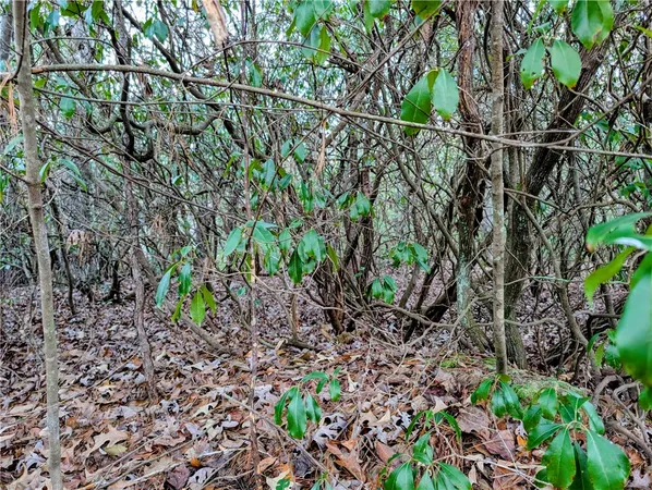 $39,900 | 801 Deertrail Shores, Salem, SC 29676