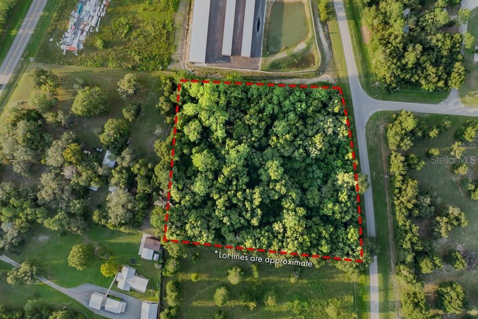 Southeast 9th Avenue Starke, FL 32091 - Photo 11 of 21 a close up of a yard