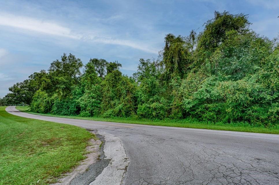 Southeast 9th Avenue Starke, FL 32091 - Photo 2 of 21 a view of a big yard with plants and large trees