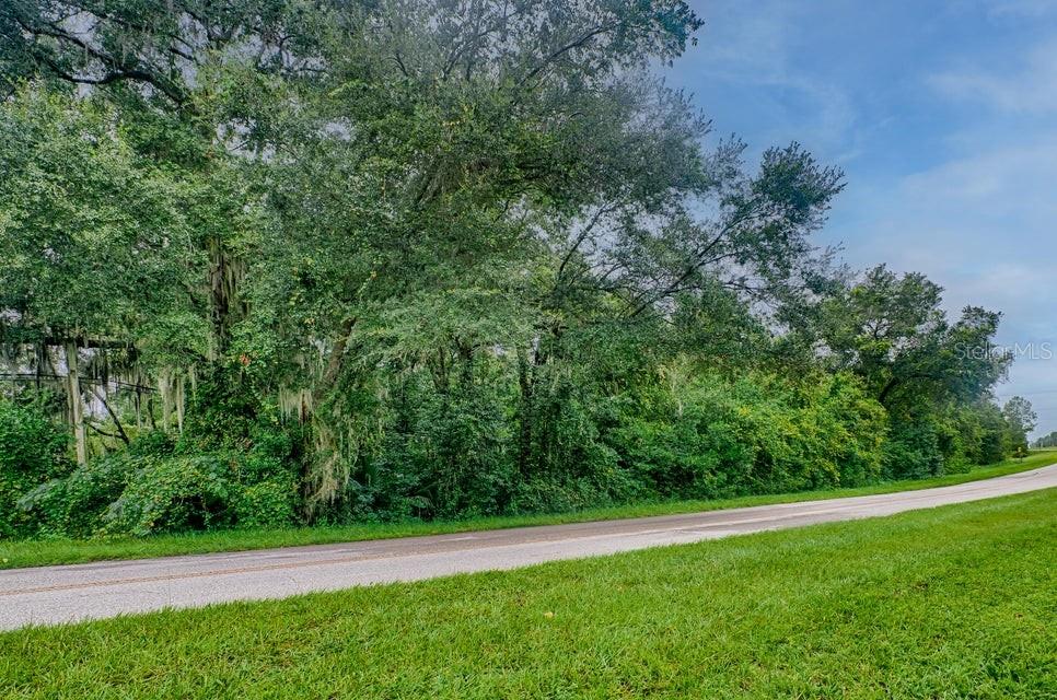 Southeast 9th Avenue Starke, FL 32091 - Photo 3 of 21 a view of a yard with a small trees