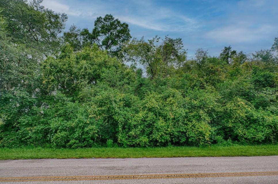 Southeast 9th Avenue Starke, FL 32091 - Photo 4 of 21 a view of a yard