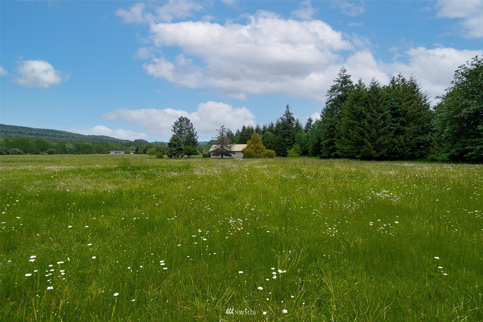 517 Leudinghaus Road Chehalis, WA 98532 - Photo 31 of 37 a view of a golf course with a building