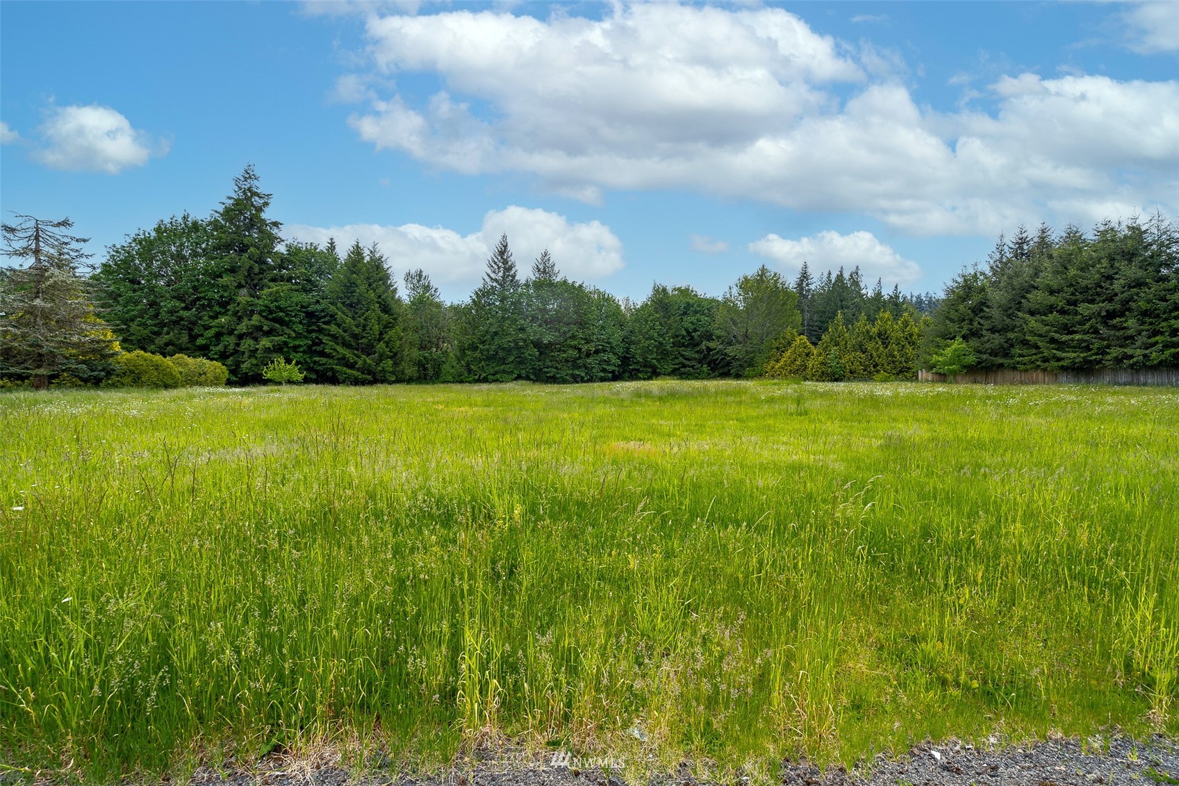 517 Leudinghaus Road Chehalis, WA 98532 - Photo 32 of 37 a view of yard and trees