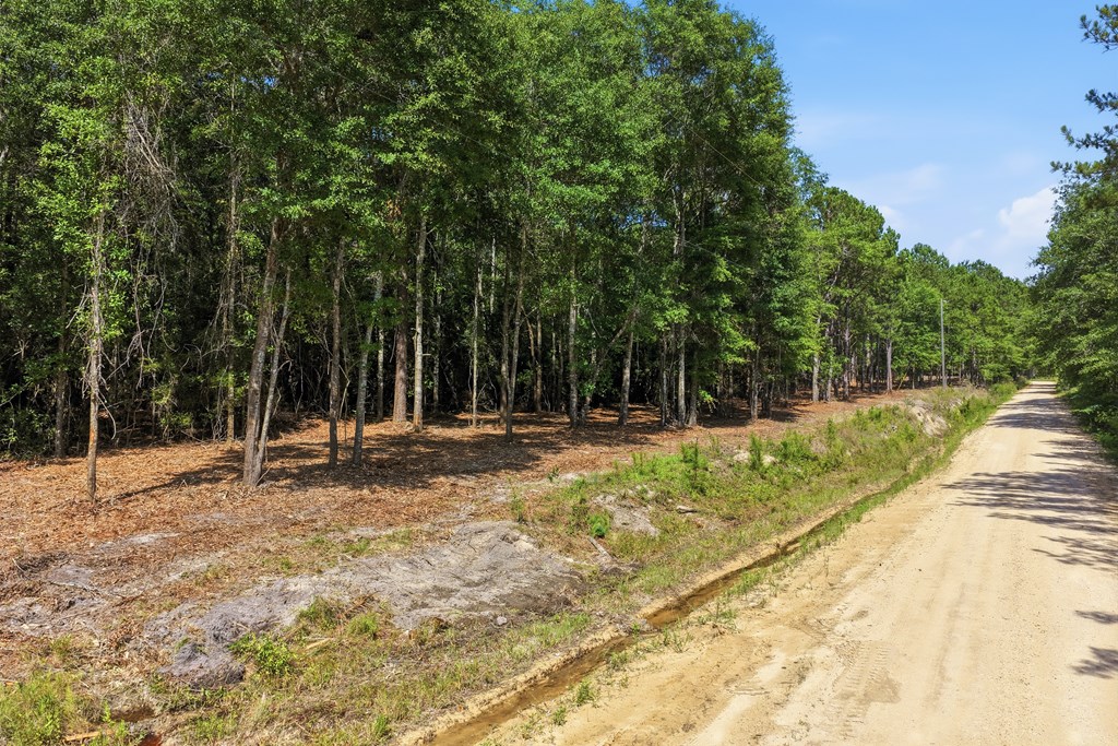 Lot #2 Crosby Clark Road Opp, AL 36467 - Photo 5 of 8