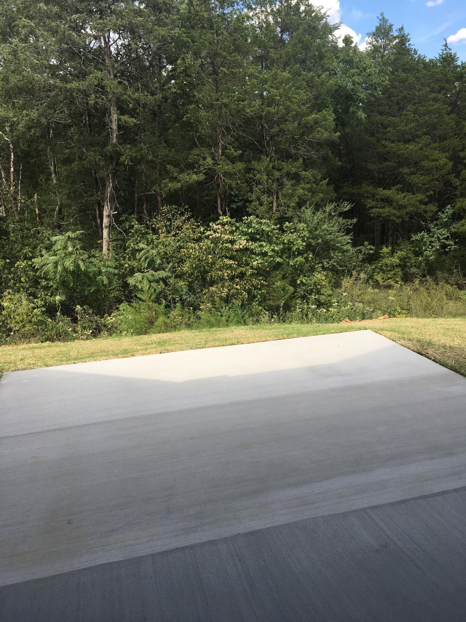 1024 Carnation Dr. Smyrna, TN 37167 - Photo 22 of 22