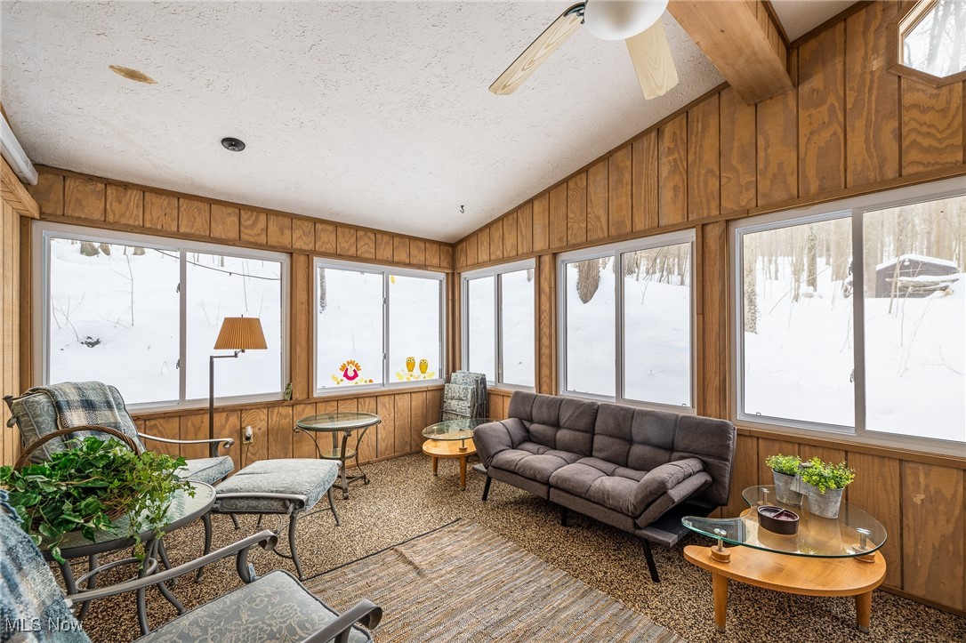 86523 North Bay Road Scio, OH 43988 - Photo 16 of 25 Sunroom / solarium with wood walls and carpet