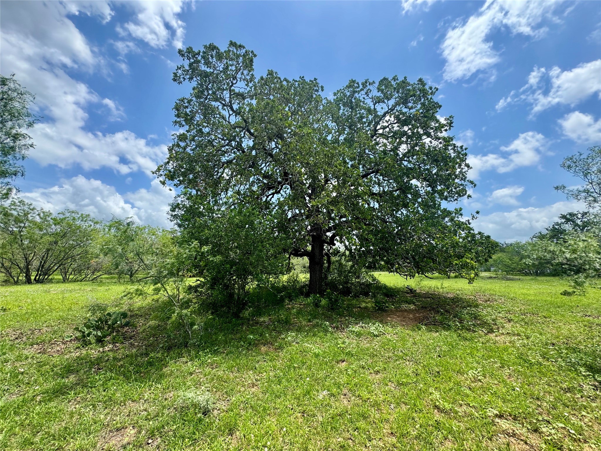 0 Batey Road Nixon, TX 78140 - Photo 6 of 13 a view of outdoor space and yard