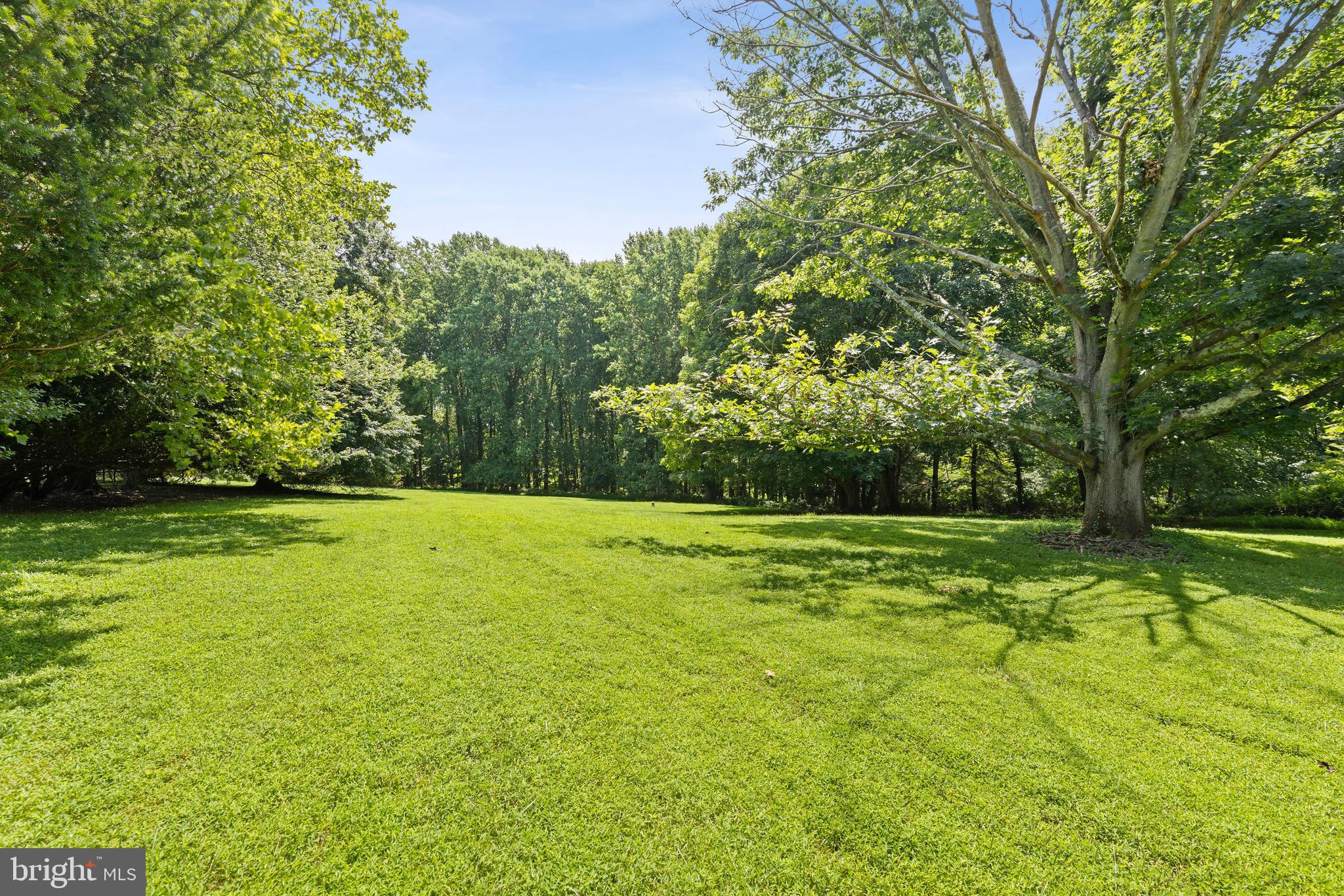 2413 Engle Road Fallston, MD 21047 - Photo 54 of 73 a view of a yard with a trees