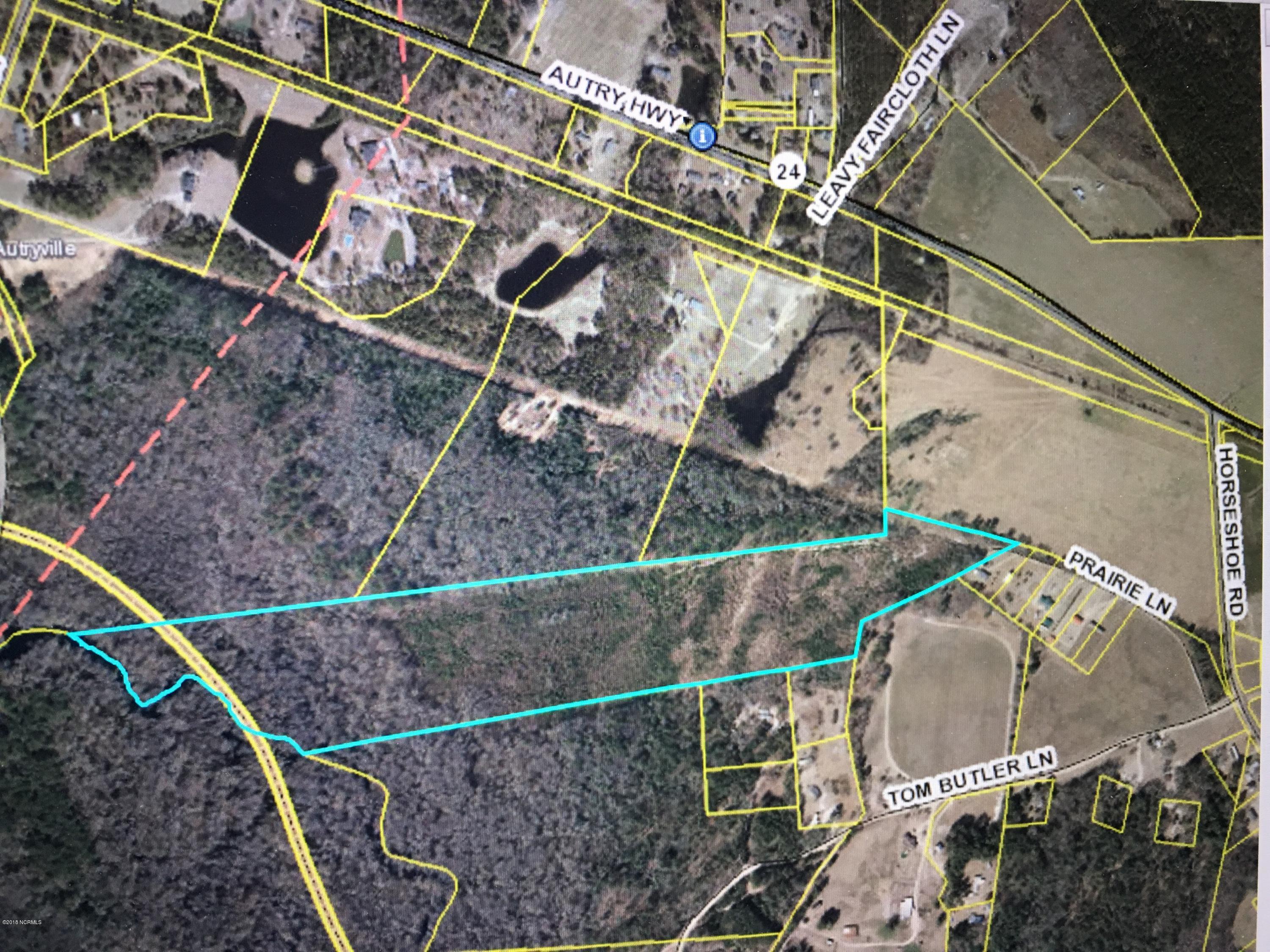 1 Horseshoe Road Autryville, NC 28318 - Photo 1 of 1 IMG_5481