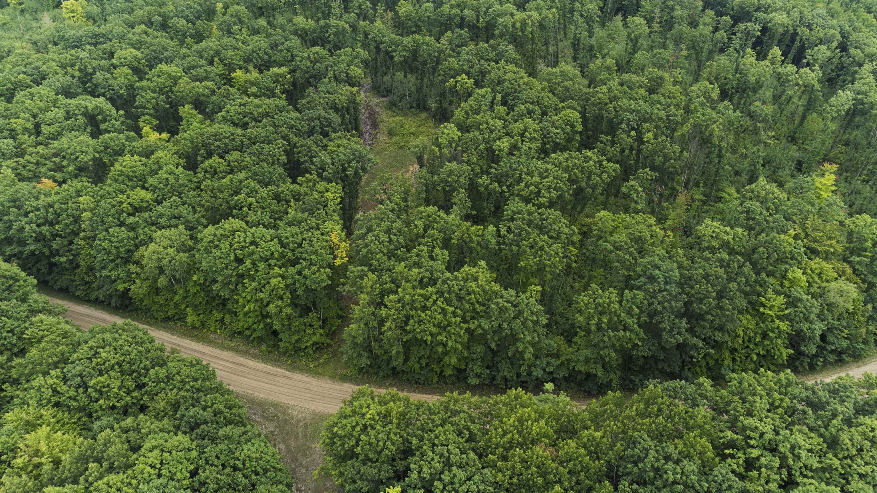8830 Wiitala Road Copemish, MI 49625 - Photo 58 of 73