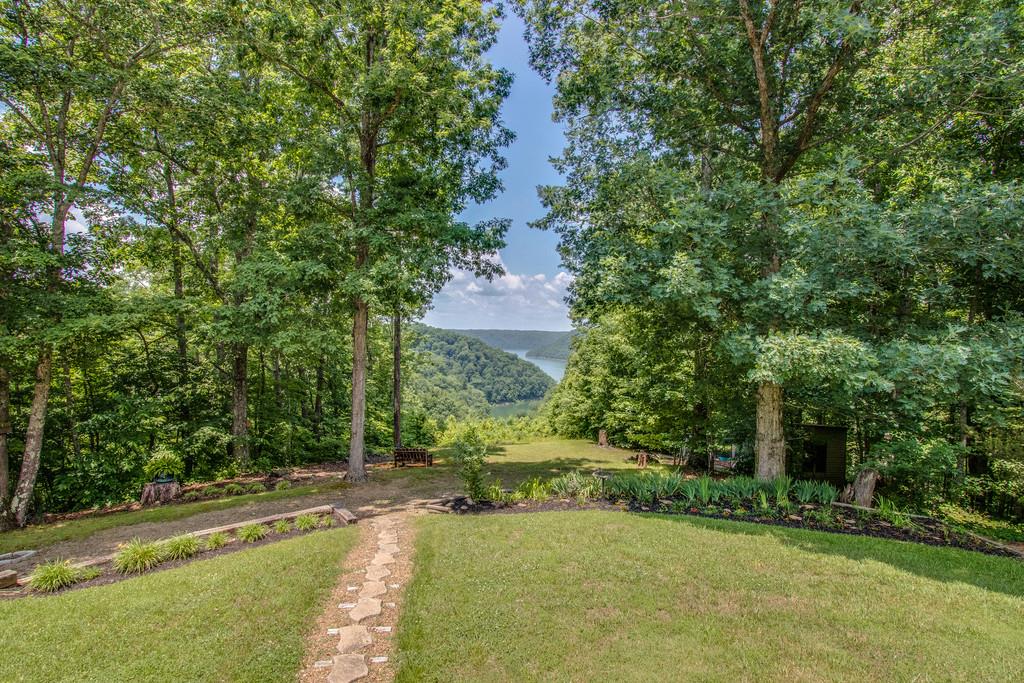 1397 Back Bone Road Sparta, TN 38583 - Photo 29 of 30 a view of a yard with plants and large trees