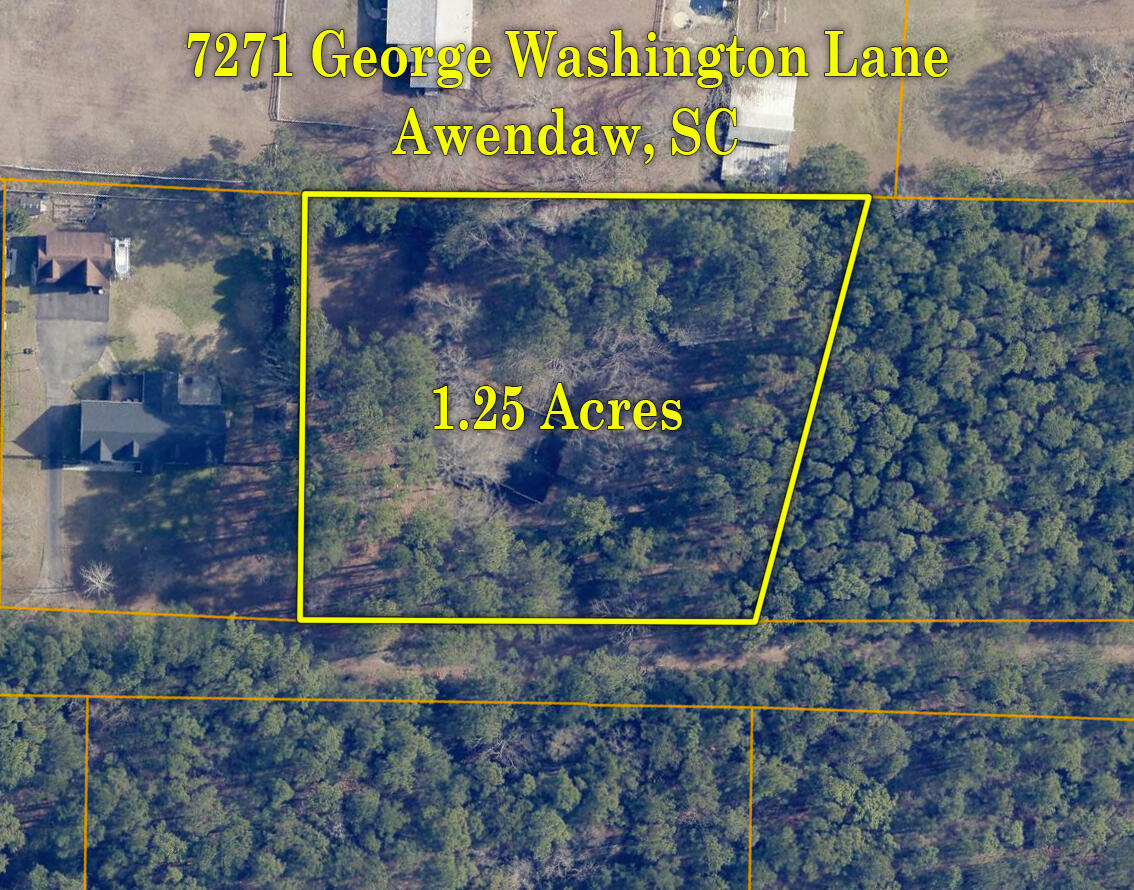 7271 George Washington Lane Awendaw, SC 29429 - Photo 31 of 31 31-GIS-Close-7271-George-WashingtonLn-Aw