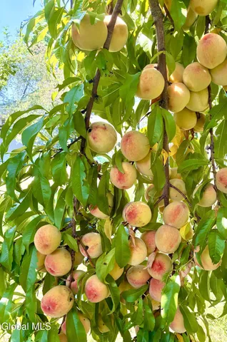 $435,000 | 627 Via Ponderosa, Guilderland, NY 12303