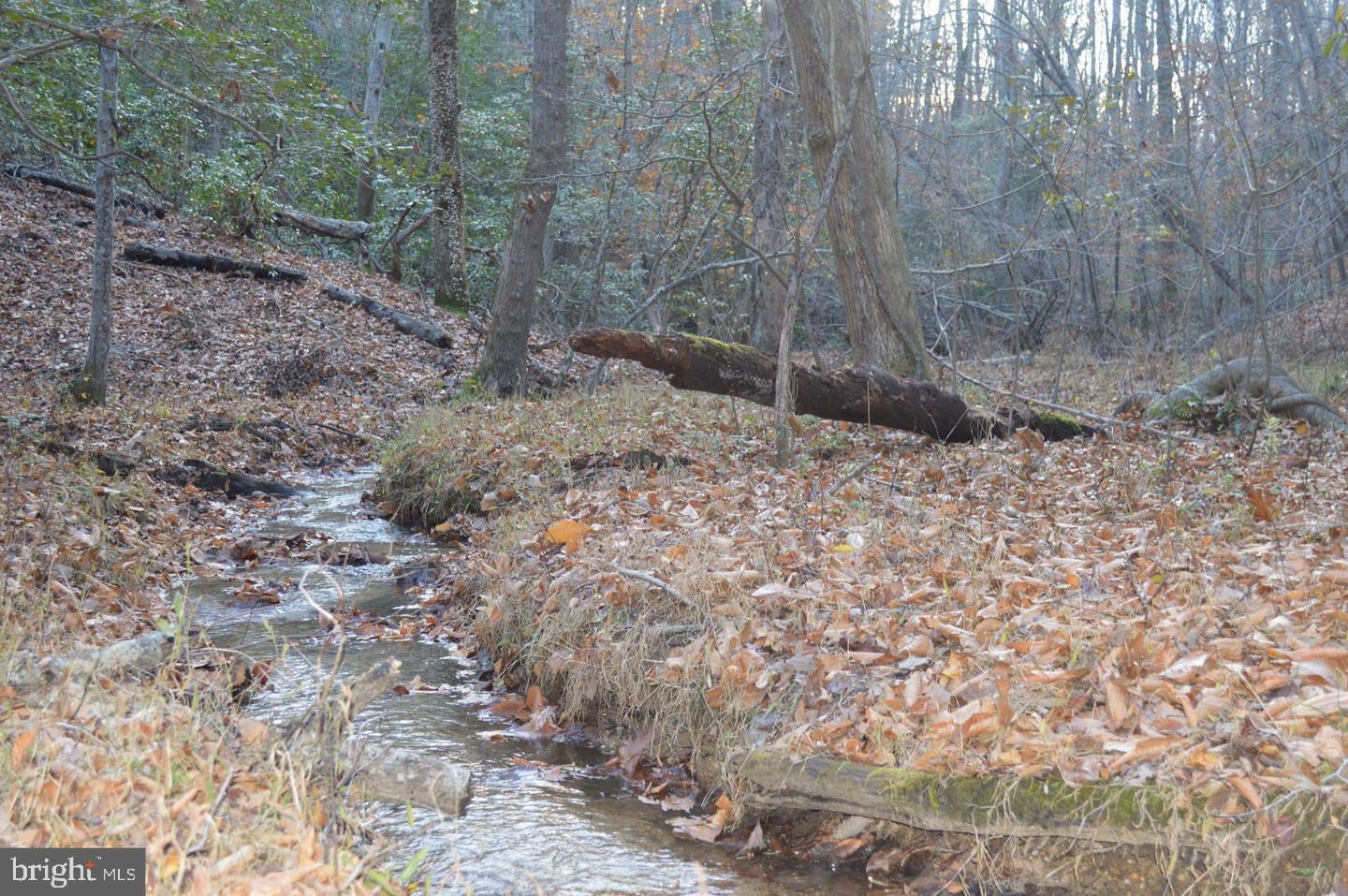 3030 Hance Road Port Republic, MD 20676 - Photo 1 of 5 Gallery Image 1