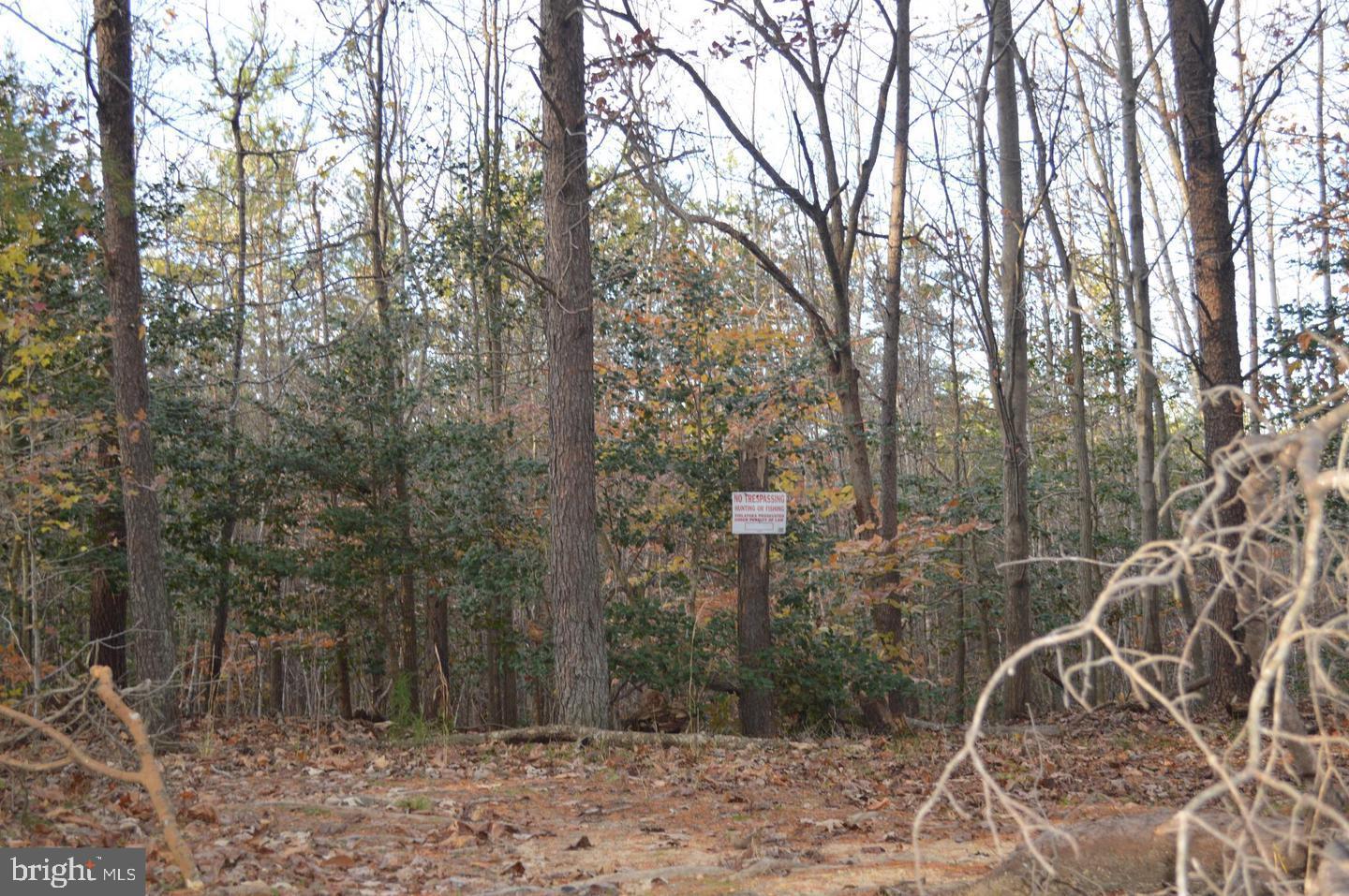 3030 Hance Road Port Republic, MD 20676 - Photo 4 of 5 Gallery Image 4