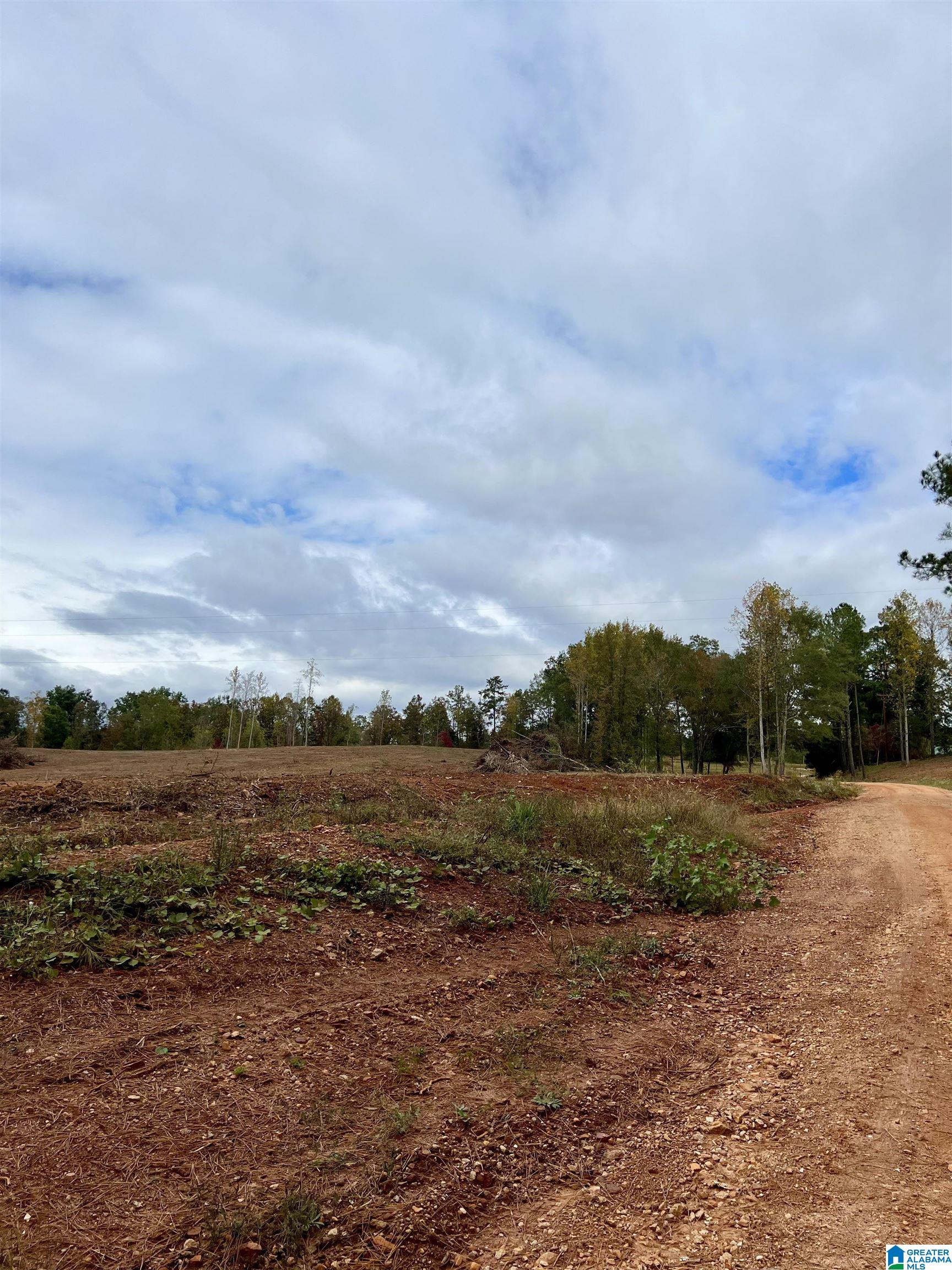 0 County Road 4 Wedowee, AL 36278 - Photo 7 of 24