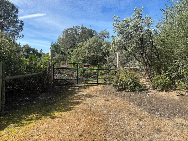 a view of a yard with wooden fence